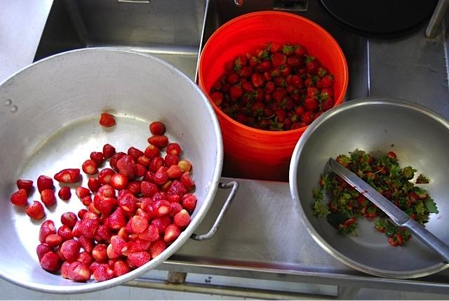 Cannery Strawberries